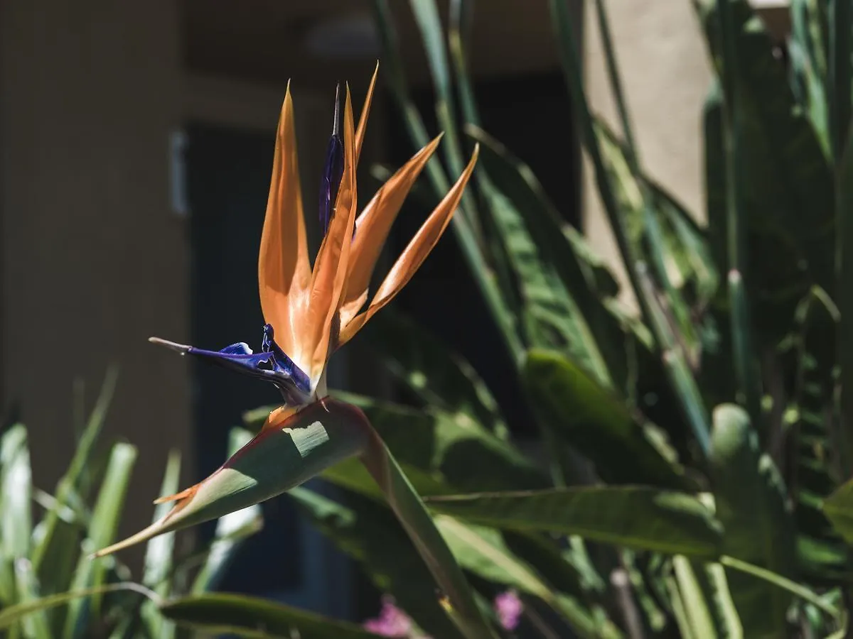 Сasa de vacaciones Russell House Villa Hobart